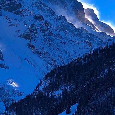 Romantisches Plaetzchen In Der Natur Гріндельвальд Екстер'єр фото